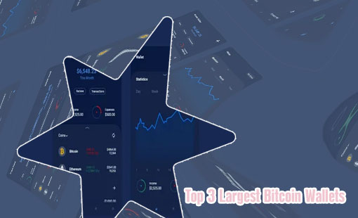 Biggest crypto wallets