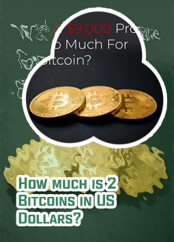 How much is 2 bitcoin worth
